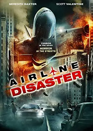 airline disaster 2010 , zeefliz
