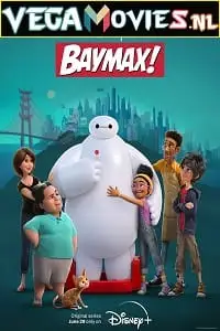 baymax 2022 , zeefliz