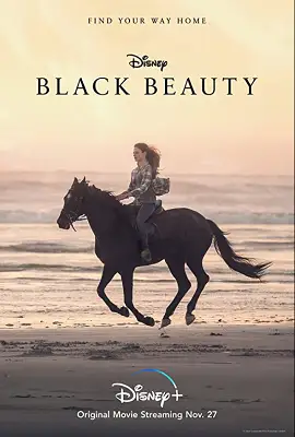 black beauty 2020 , zeefliz