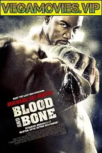 blood and bone 2009 , zeefliz