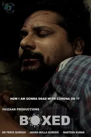 boxed 2020 , zeefliz