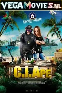 c.i.ape 2021 , zeefliz