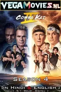 cobra kai netflix original 2021 , zeefliz