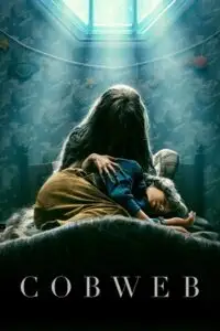 cobweb 2023 , zeefliz