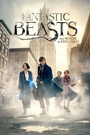 fantastic beasts and where to find them 2016 , zeefliz