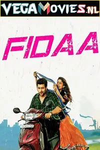 fidaa 2017 , zeefliz