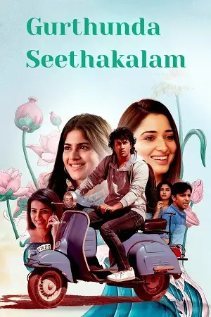 gurthunda seethakalam 2022 , zeefliz