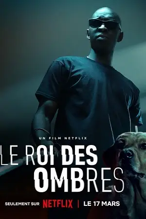 in his shadow netflix original 2023 , zeefliz