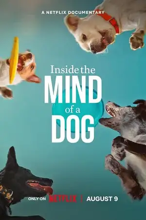 inside the mind of a dog 2024 , zeefliz