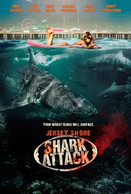 jersey shore shark attack 2012 , zeefliz