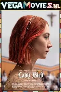 lady bird 2017 , zeefliz