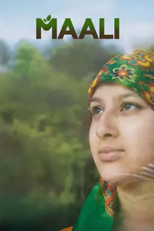 maali 2025 , zeefliz