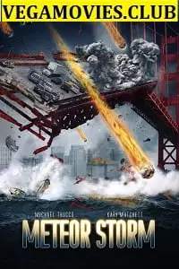 meteor storm 2010 , zeefliz