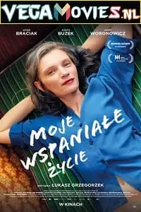 my wonderful life 2022 , zeefliz