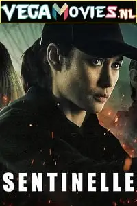 netflix sentinelle 2021 , zeefliz