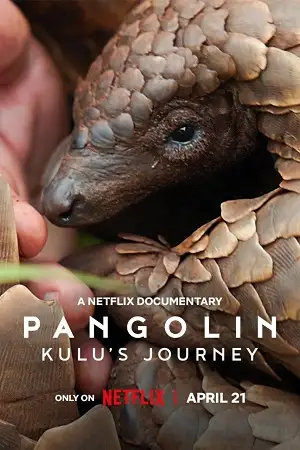 pangolin kulu s journey 2025 , zeefliz