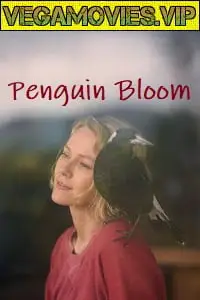 penguin bloom 2020 , zeefliz