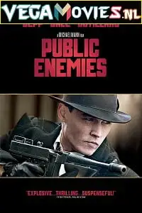 public enemies 2009 , zeefliz