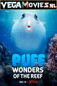 puff wonders of the reef 2021 , zeefliz
