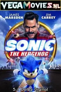 sonic the hedgehog 2020 , zeefliz