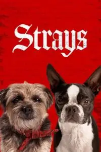 strays 2023 , zeefliz