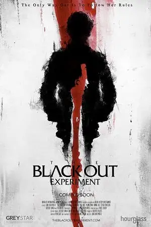 the blackout experiment 2021 , zeefliz
