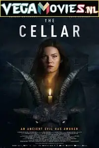the cellar 2022 , zeefliz