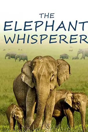 the elephant whisperers 2022 , zeefliz