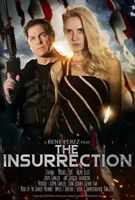 the insurrection 2020 , zeefliz