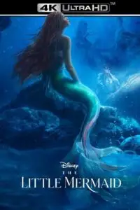 the little mermaid 2023 , zeefliz