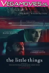 the little things 2021 , zeefliz