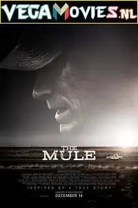 the mule 2018 , zeefliz