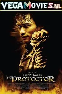 the protector 2005 , zeefliz
