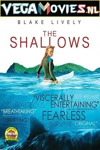 the shallows 2016 , zeefliz