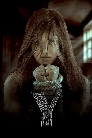 the y 2023 , zeefliz