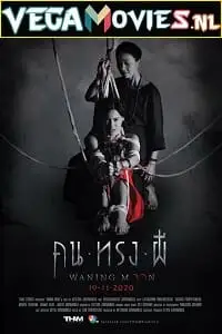 waning moon 2020 , zeefliz