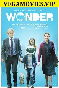 wonder 2017 , zeefliz